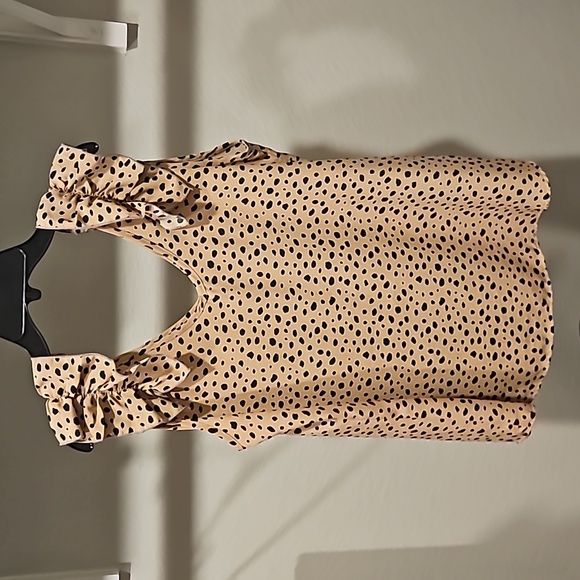 Dalmatian Tank - Picture 1 of 5